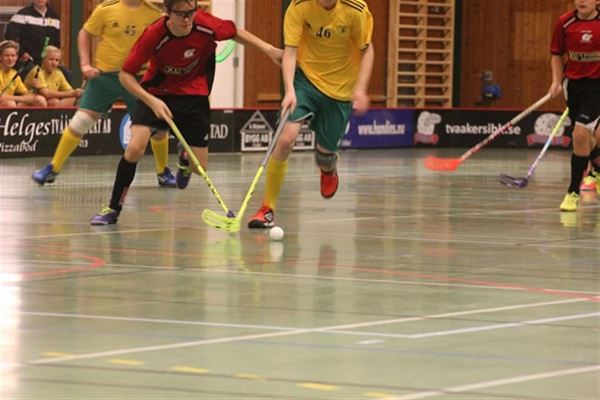 Det skal du bruge hvis floorball skal være din nye hobby