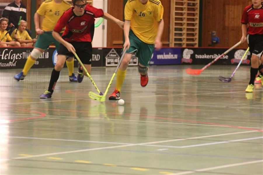 Det skal du bruge hvis floorball skal være din nye hobby