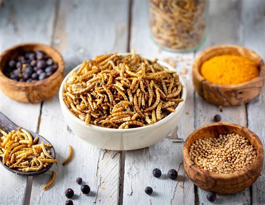 Tørrede insekter til foder har flere gode fordele