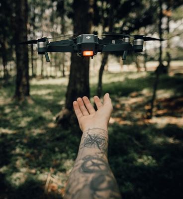 Fantastiske stregkunstner